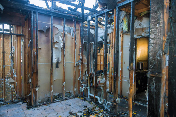 Professional Fire Damage Removal technician working in Centralia, IL